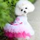New Summer Dog Clothes Princess Dress Teddy Bears Two legged Clothes Mesh Lace Bunny Skirt