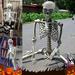 Brenberke Halloween Skeleton Prop Deco Halloween Skeleton Life Size Full Body Posable Joints Skeletons Human Full Size Hand Life Body Anatomy Model Halloween Decorations Outdoor