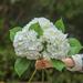 3pcs 21 Inch White Artificial Hydrangea Large Real Touch Natural Hydrangea Replicas for Home Party Decor Outdoor Wedding Table Decoration