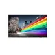 Philips 50BFL2214/12 Fernseher 127 cm (50") 4K Ultra HD Smart-TV WLAN Schwarz 350 cd/m²