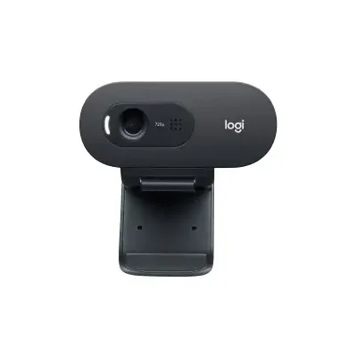 Logitech C505e Webcam 1280 x 720 Pixel USB Schwarz