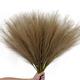 PcsSet Brown Artificial Pompous Grass Halloween Decor Faux Pampas Grass Plastic Fake Pompas Grass Branches Vase Filler Flower Arrangement for Wedding