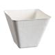 SOLIA Mini Schale, Bagasse, weiss, 50 Stück, 7 x 7 x 15 cm, 155 ml