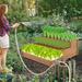 Raised Garden Bed Outdoor Horticulture Elevated Flower Box Wooden Tiered Vegetables Garden Bed Stair Stepdesign Planter