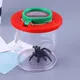 Tragbare Kinder Crawler Tier Spinne Insekten kasten 3x 6x Lupe Insekten käfig Käfer Glas für die