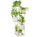 Arlmont & Co. 5-Tier Small Metal Plant Stand | Wayfair B15EAF08890043C9B7CBB43A3EE17FF6