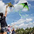 Kites tails with handle outdoor toys for kids kites nylon ripstop albatross kite