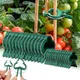 20Pcs Grafting Clips Greenhouse Clamp Stand Plastic Plant Clip Fastener Bracket Fixed Seed Stem