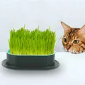 Cat Litter Box Catnip Plant Cultivation Planter Grass Hydroponic Flowerpot Plastic Plants