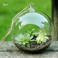 Hanging Glass Ball Succulent Tabletop Tealights Terrarium Vase Candles Wedding Celebration Container