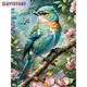 GatyzQuantité-Analyste de peinture d'animaux d'oiseaux par numéro peinture par numéro dessin