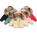 Esaierr Kids Baby Boys Girls Winter Puffer Coat Toddler Warm Casual Cotton Coat Hoodies down Cotton Jacke Lightweight down Short Jacket for 1-9Y