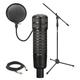 Electro-Voice RE320 Dynamic Vocal and Instrument Mic Recording Pack