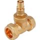 JTM Compression Valves Lock Shield Gate Valve 42mm XL Valves: 42mm