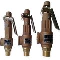 FUDGIO Brass valve with handle for pressure tank spring type Temperature & Pressure Relief safty valves for boiler 1Pcs (Size : DN32)