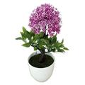 floral Fake Flower Artificial Potted Plant Onion Flower Ball Plant Rich Flower Set Fake Potted Bonsai Home Decoration Desktop christmas (Color : PURPLE)