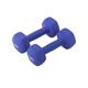 Dumbbel Dumbbell Women's Fitness Home Equipment Pure Iron Small Dumbbell Set Combination Arm Training For Men Barbell (Color : Blue, Size : 8kg)