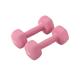 Dumbbel Dumbbell Women's Fitness Home Equipment Pure Iron Small Dumbbell Set Combination Arm Training For Men Barbell (Color : Pink, Size : 4kg)