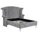 Coaster Furniture Deanna Tufted Upholstered Bed