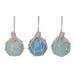 The Holiday Aisle® 3 Piece Coastal Ball Ornament Set Wood in Blue/Brown | 2.28 H x 1.61 W x 1.61 D in | Wayfair F68F55FC2478441FB3821BED848D660F