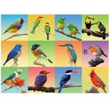 Fishwisdom 300 Pieces Jigsaw AIF4 Puzzles for Adults and Teens and Kids Family Happy Gift Idea Animal Birds