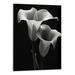 Creowell Calla Lily Flower Plant Canvas Poster Modern Aesthetic Picture Wall Art Home Office Decoration Painting Holiday Gift 16x20 Inch