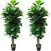 Pack of Two (2) Gorgeous & Dense 5 Fiddle Leaf Fig Tree Artificial Silk Plant with Nursery Pot Feel Real Technology Super Quality Green
