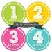 Months in Motion 373 Monthly Baby Stickers Milestone Age Sticker Photo Prop