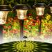 GIGALUMI 8 Pack Solar AIF4 Pathway Lights Solar Garden Lights Outdoor Warm White Waterproof Led Path Lights for Yard Patio Landscape Walkway (Brown)â€¦