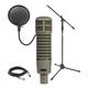 Electro-Voice RE20 Dynamic Microphone Recording Pack