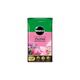 Miracle Gro Premium Orchid Potting Compost With Vital Minerals 6L Bag