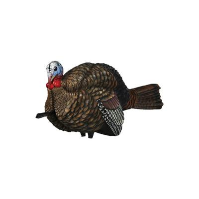 Avian X Turkey Decoy 1/2 Strut Jake Black AVX-AVX8012