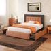 Modern Style Upholstered Queen Platform Bed Frame with Four Drawers, Button Tufted Headboard with PU Leather and Velvet