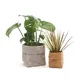 Succulents Planter Pot Washable Kraft Paper Flowerpot Creative Desktop Flower Pots Reuseable
