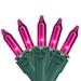 The Holiday Aisle® Set of 100 Mini Christmas Lights 4.25" Spacing - Green Wire in Pink/Green | 1 H x 0.2 W x 409.2 D in | Wayfair