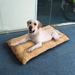 Tucker Murphy Pet™ Golliday Pillow Dog Bed Polyester in Orange | 3 H x 27.6 W x 19.7 D in | Wayfair C9D0B369C24D44F08C8508B03316B529