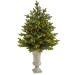 The Holiday Aisle® 3' 8" H Green Fir Cashmere Christmas Tree w/ 150 LED Lights in White | 44 H x 23 W in | Wayfair E583F81CD8F2447C8F289FB5D4CE5184