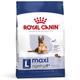 Royal Canin Maxi Ageing 8+ pour chien - 15 kg