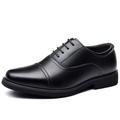 Men's Shoes Oxfords Derby Shoes Leather Shoes Dress Shoes Tuxedos Shoes Walking Business Chinoiserie British Office Career Party Evening Leather Warm Lace-up Black Spring Fall