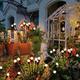 1 pz, luci lucciole da giardino ad energia solare, luci solari esterne impermeabili, luci lucciole solari ondeggianti starburst, luci da giardino lucciole per luci decorative esterne paesaggistiche