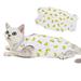 Cat Surgical Recovery Suit After Surgery Wear Pajama Suit Home Indoor Pets Clothing(Banana) - L