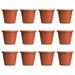 The HC Companies 12 Classic Flower Pot Planter Terra Cotta (12 Pack)