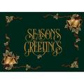 Milliken Seasonal Inspirations Area Rug Season s Greetings 00450 Wintergreen 2 8 x 3 10 Rectangle