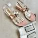Gucci Shoes | Gucci Patent Calfskin Bee Thong Sandal In Perfect Pink Size 36.5 | Color: Pink | Size: 36.5eu