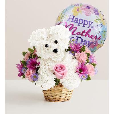 1-800-Flowers Gift Wrapping Delivery Precious Pup W/ Balloon