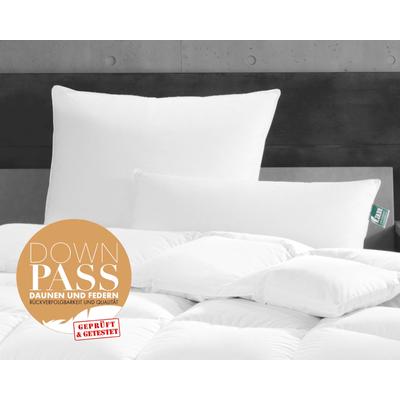 Frankenstolz »fan Canada« Kissen Biobasiert Kissen soft / 40x80 cm / 500g Image