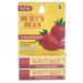 Strawberry Moisturizing Lip Balm Twin Pack by Burts Bees for Unisex - 2 x 0.15 oz Lip Balm