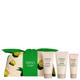 Shiseido SOS Imperfection Gift Set 30ml Shikulime Gel-to-Oil Cleanser - 15ml Shikulime Color Control Moisturizer - 30ml Satocane Pore Purifying Scrub