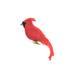The Holiday Aisle® Cardinal Clip Ornament Plastic in Red | 6.5 H x 3 W x 2.5 D in | Wayfair 9292B727F8EE41F4B22D1DDF40965CB0