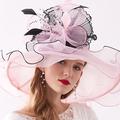 Organza / Plumes / Filet Chapeau Kentucky Derby / Fascinateurs / Coiffe avec Plume / Fleur / Rapporter 1 PC Mariage / Extérieur / Fête du thé Casque